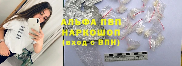 мет Алексин