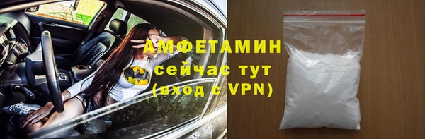мет Алексин