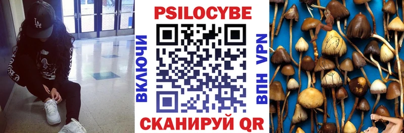 Псилоцибиновые грибы прущие грибы  Ипатово 