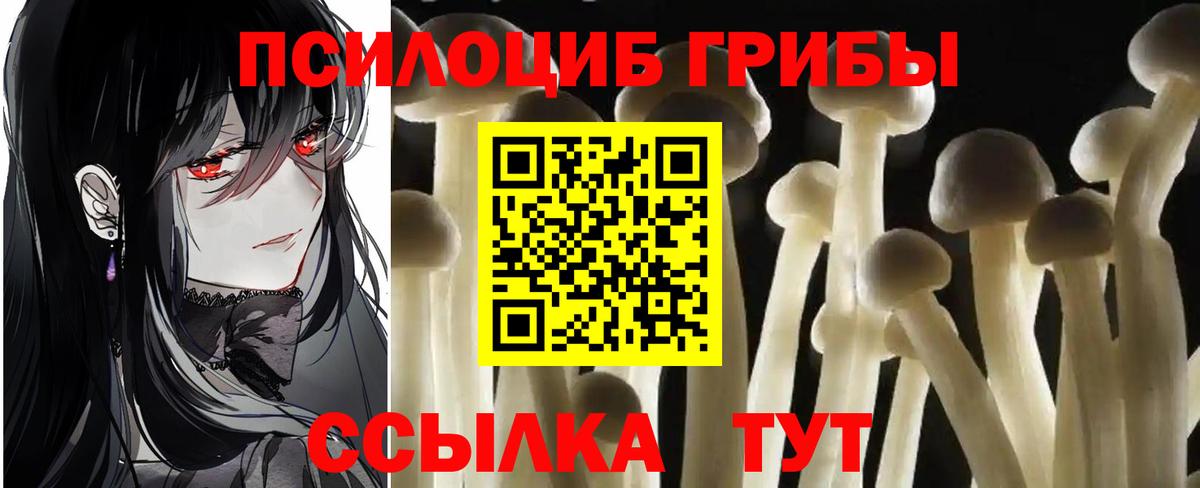 Галлюциногенные грибы мицелий  Вход с VPN  Псилоцибиновые грибы мицелий  Ипатово 