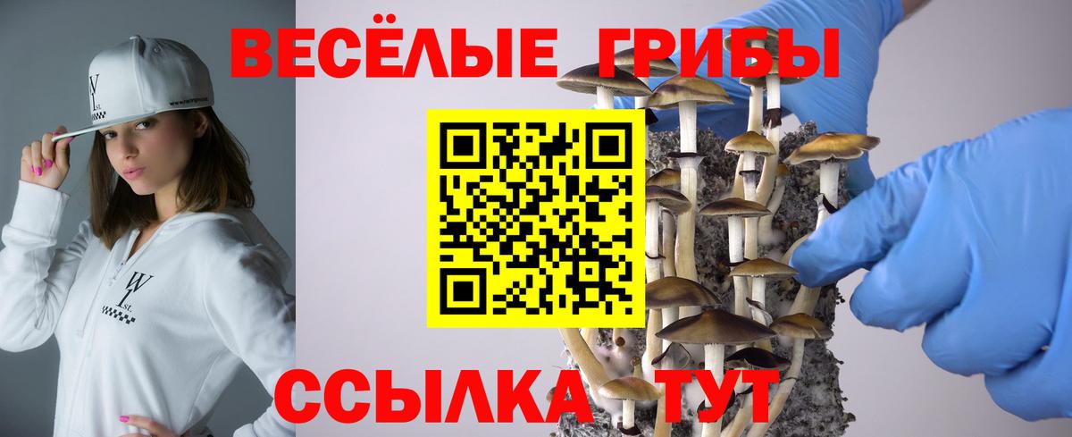 Галлюциногенные грибы Psilocybine cubensis Ипатово